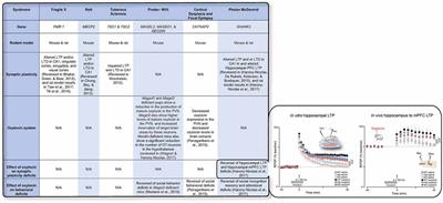 Oxytocin as a Modulator of Synaptic Plasticity: Implications for Neurodevelopmental Disorders